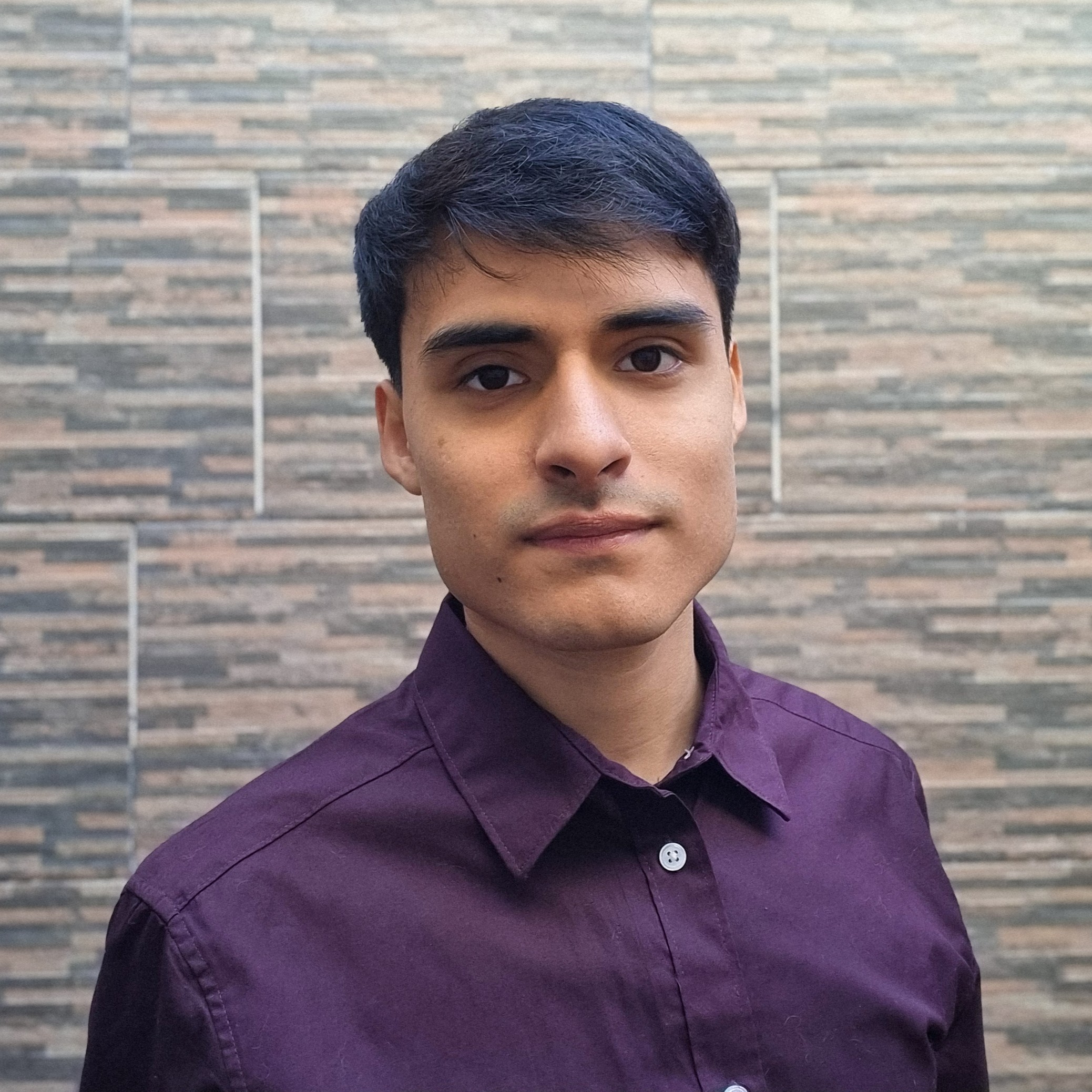 Portrait of AI Engineer